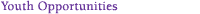 Nonprofit community and Volunteer Connection events